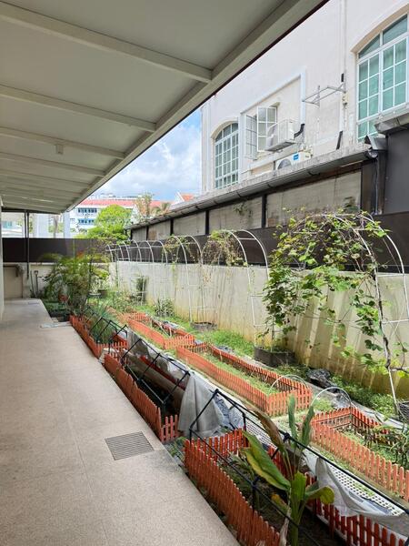Additional image 5 of 23 Gambir walk