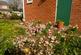 Additional image 20 of Hallgarth Road, Pontefract WF8