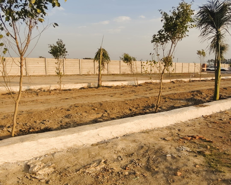Manjhawali Village, Faridabad photo 2