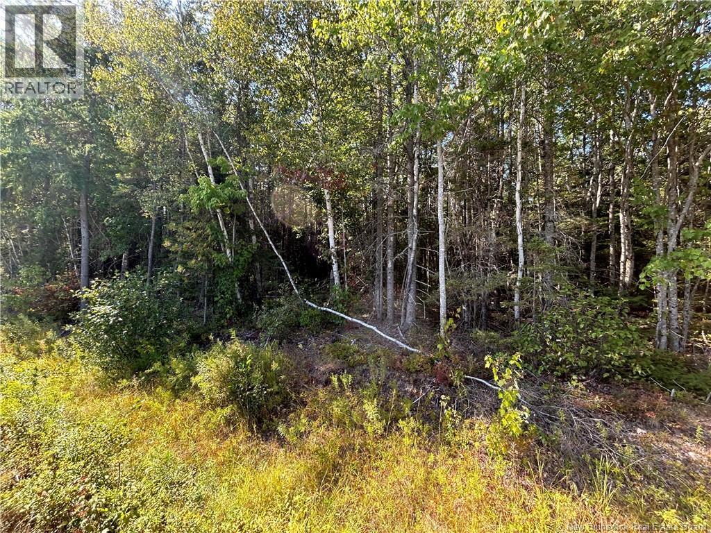 Lot 26-2 Upper Midland Road