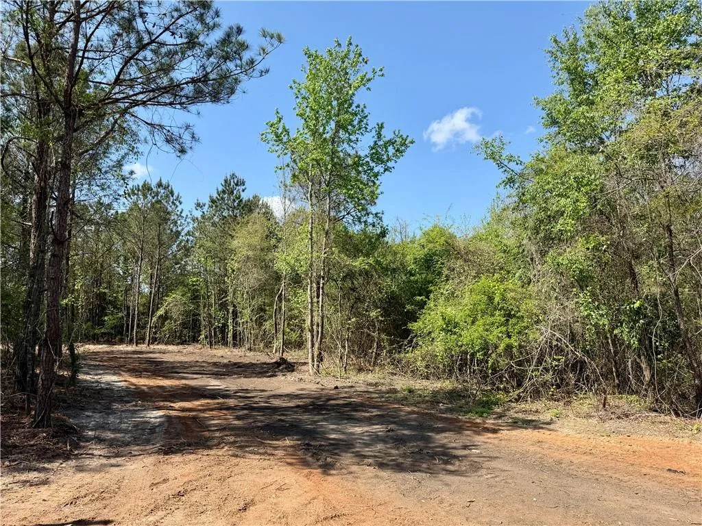 Additional image 58 of 344 Ridge Road, Seale, AL 36875