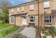 Buckthorn, ELY