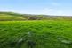 Additional image 4 of Trewidland, Cornwall PL14