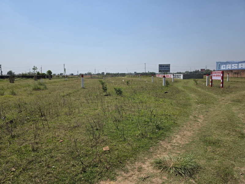 Chirora, Patna