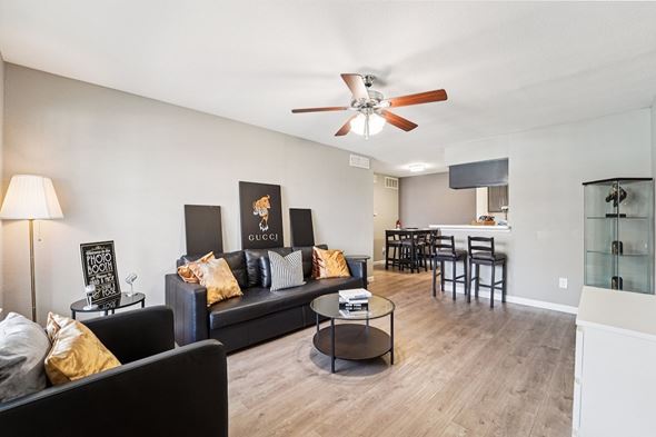 2909 Hayes Rd, Houston, TX, 77082