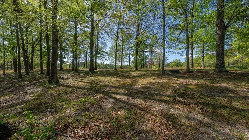 Additional image 40 of 562 Oswichee Rd, Seale, AL 36875