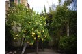 Additional image 44 of 3398 Araldi Ln, Dublin, CA, 94568