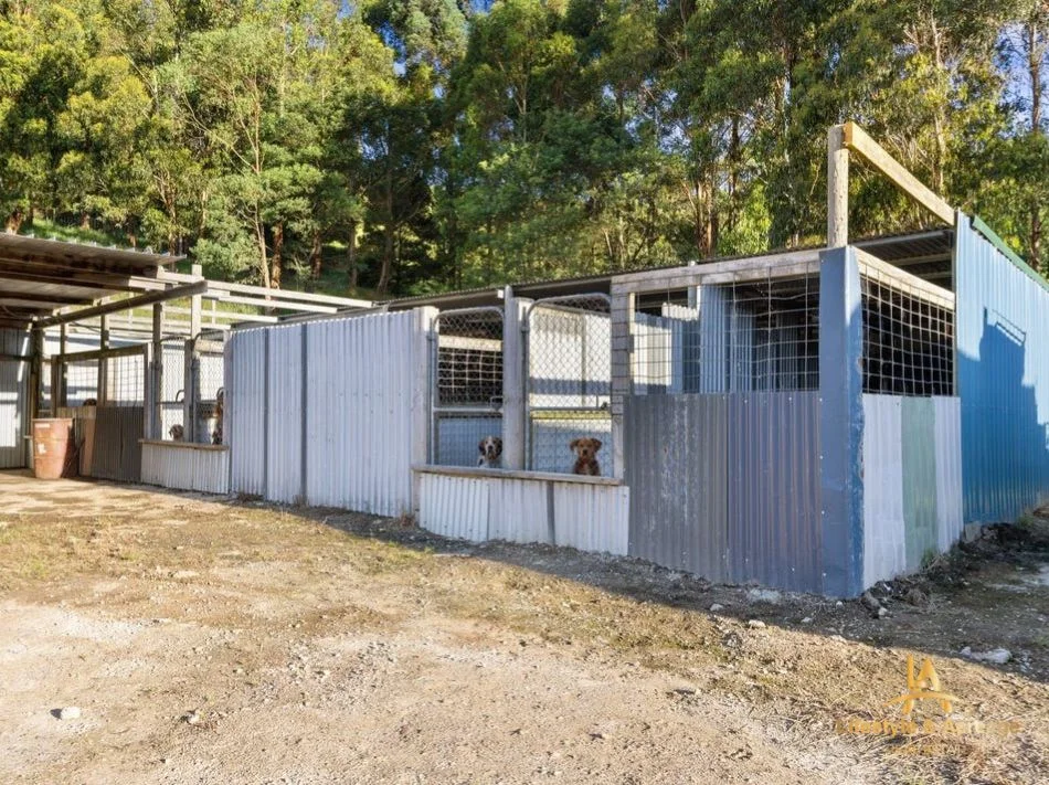 Additional image 20 of 1720 Wild Dog Valley Road, Strzelecki VIC 3950