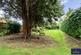 Additional image 21 of Dallington Park Road, Northampton, Northamptonshire, NN5