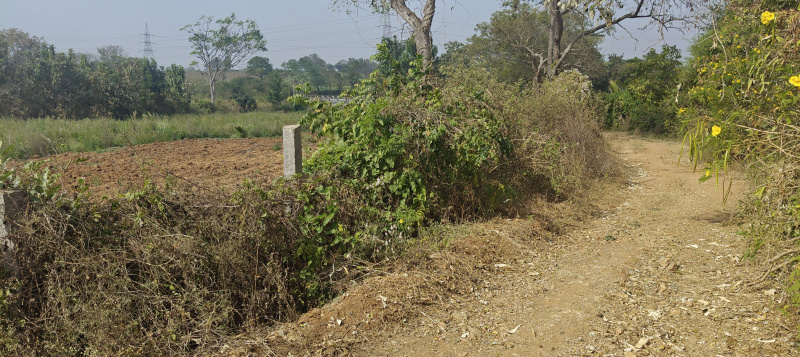 Additional image 2 of Krishnarajanagar, Mysore