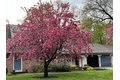 Additional image 41 of 2 Cyr Cir, Andover, MA, 01810
