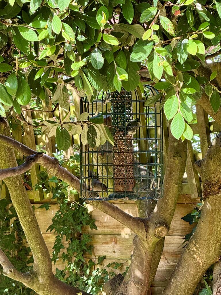 Additional image 20 of Miller Walk, Bathampton, Bath, Somerset, BA2