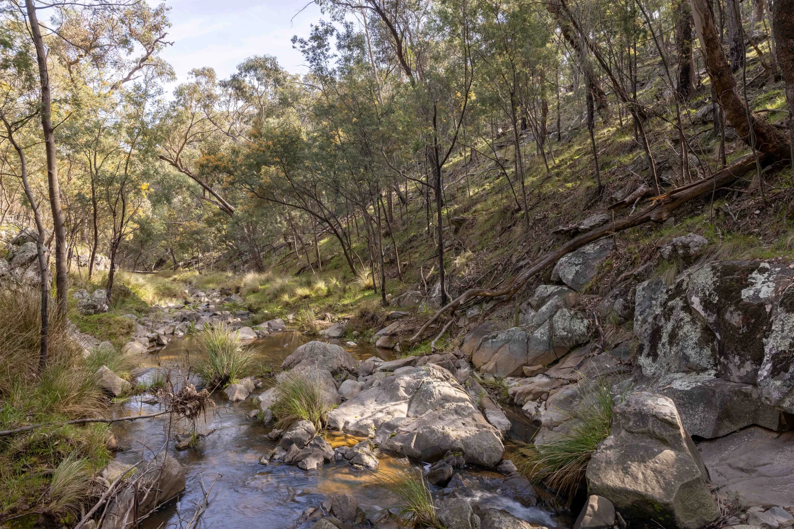 Additional image 10 of 528 Gundowda Road, Mudgee NSW 2850