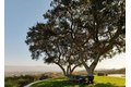 Additional image 46 of 13331 Mulholland Dr, Beverly Hills, CA, 90210