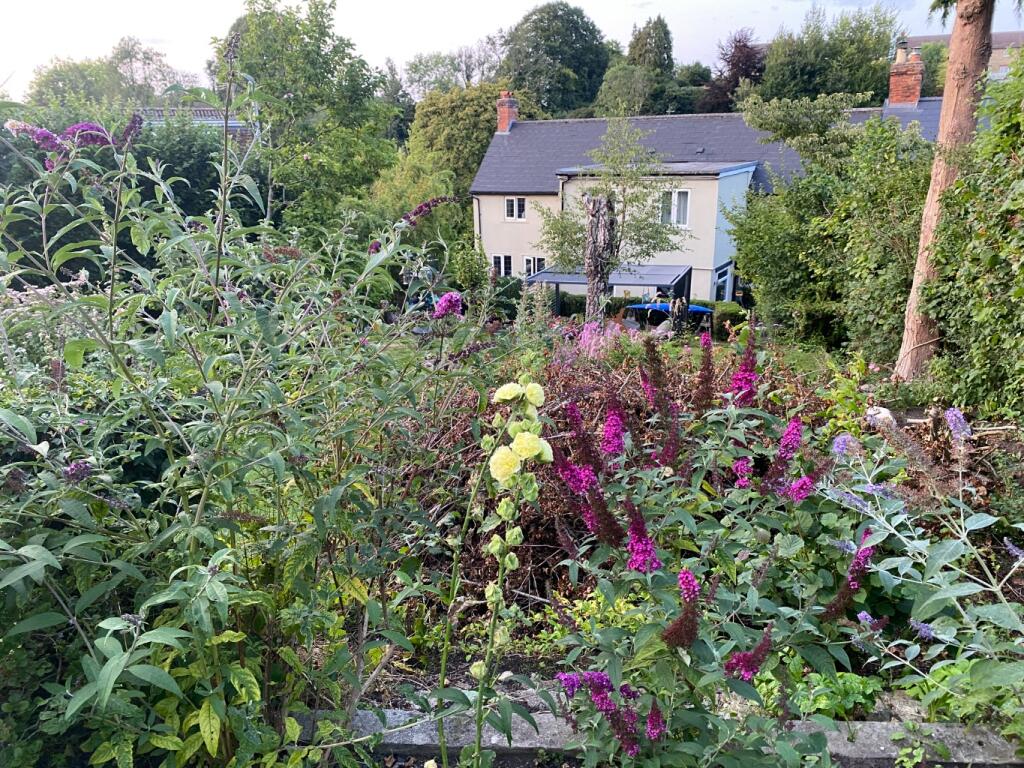 Additional image 24 of Lusty Gardens, Bruton