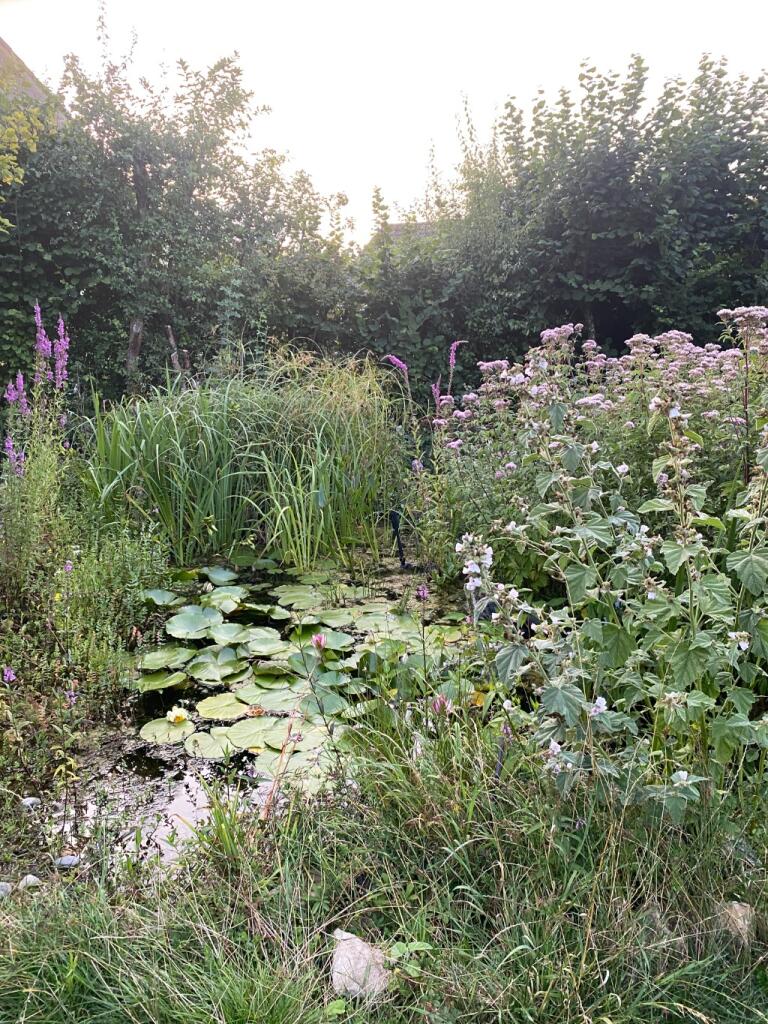 Additional image 23 of Lusty Gardens, Bruton