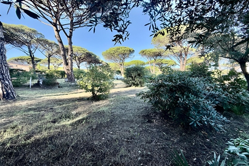 Additional image 5 of Sainte-Maxime (Var)