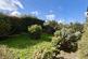 Additional image 18 of Duchy Drive, Preston, Paignton