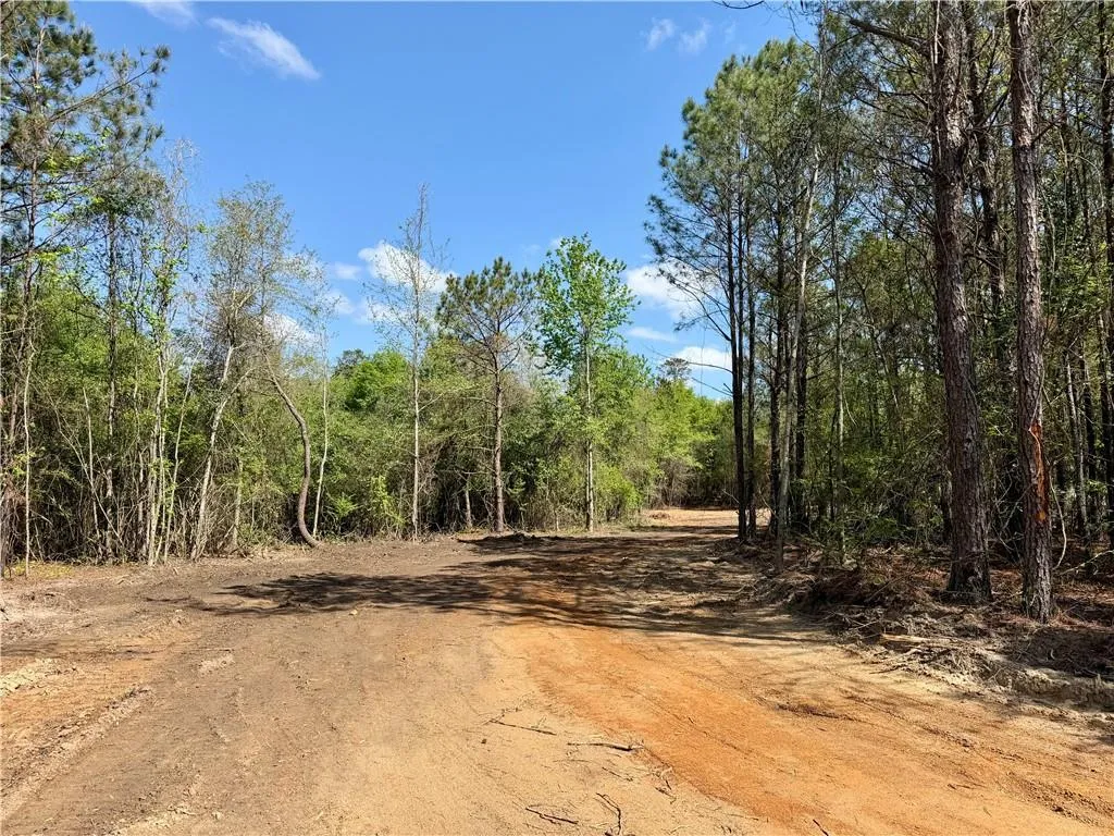 Additional image 60 of 344 Ridge Road, Seale, AL 36875