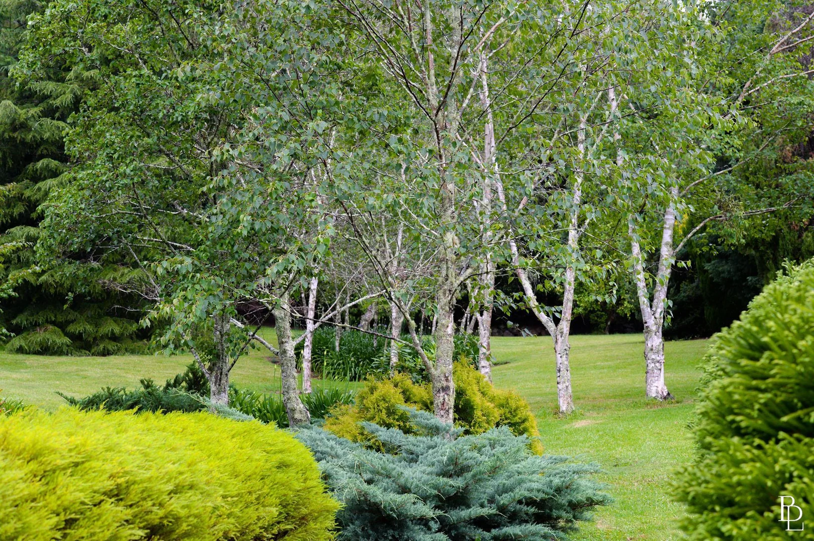 Additional image 32 of 291A Mount Hay Road, Broughton Vale NSW 2535