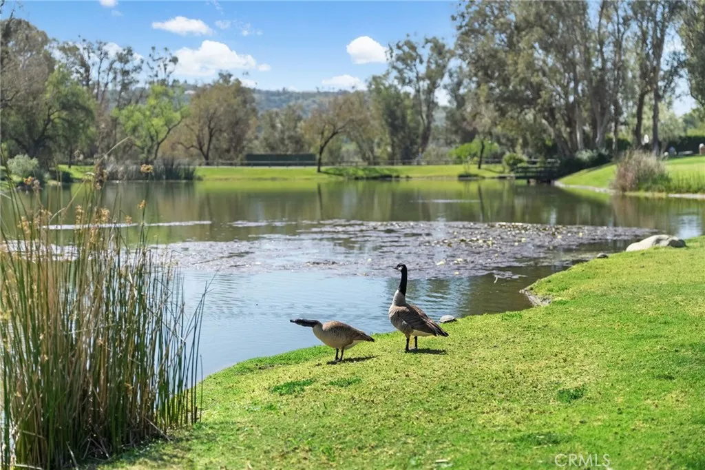 Additional image 52 of 7925 E Horseshoe Trail, Orange, CA 92869