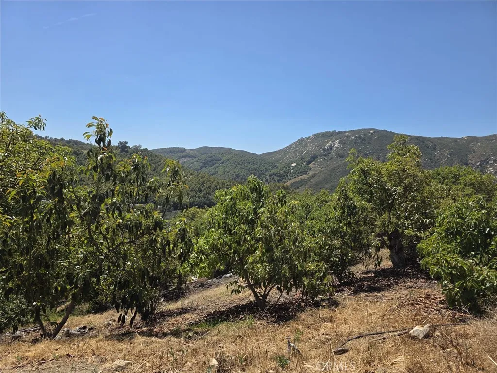Additional image 8 of 10438 Couser Way, Valley Center, CA 92003