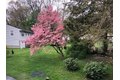 Additional image 22 of 2 Simpson Dr, Framingham, MA, 01701