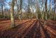 Additional image 8 of Collinswood Road, Farnham Common, SL2