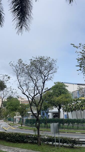Additional image 2 of 507 Serangoon North Avenue 4