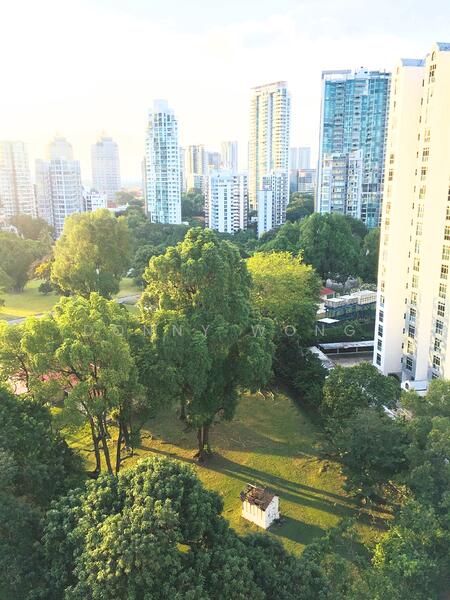 235 Balestier Road photo 5
