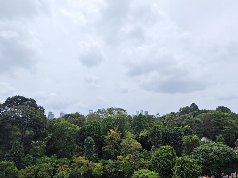 151 Cavenagh Road photo 5