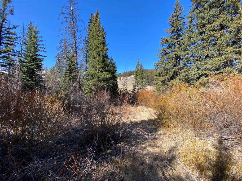 Additional image 5 of 5302 19 Avenue, Coleman, AB, T0K 0E0