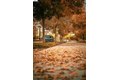 Additional image 43 of 3398 Araldi Ln, Dublin, CA, 94568