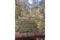 Additional image 35 of 202 W Emerald Forest Ln, Sequim, WA, 98382