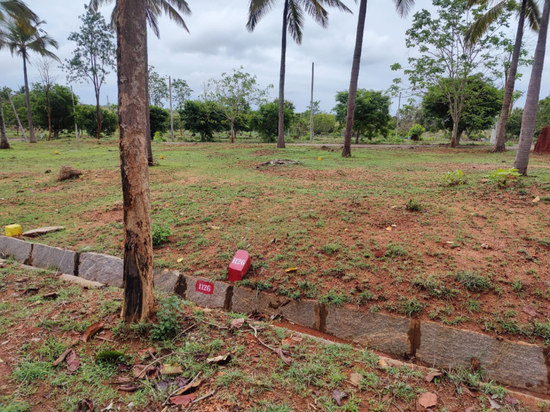 Additional image 2 of Yelawala, Mysore