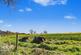 Additional image 34 of Bintree Road, Billingford