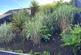 Additional image 18 of Llwyngwern, Pontarddulais SA4