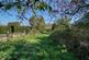 Additional image 9 of Higher Street, Okeford Fitzpaine, Blandford Forum