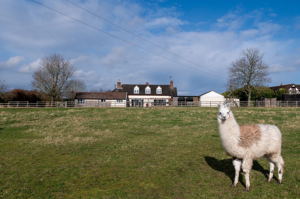 Additional image 12 of 4 bed detached house to rentNewnham, Henley-In-Arden B95