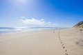 Additional image 41 of 175 Cliff Rd, Wellfleet, MA, 02667