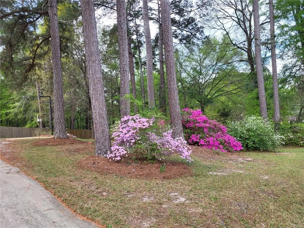Additional image 5 of 4223 24th Street SW, Lanett, AL 36863