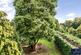 Additional image 28 of Dallington Park Road, Northampton, Northamptonshire, NN5