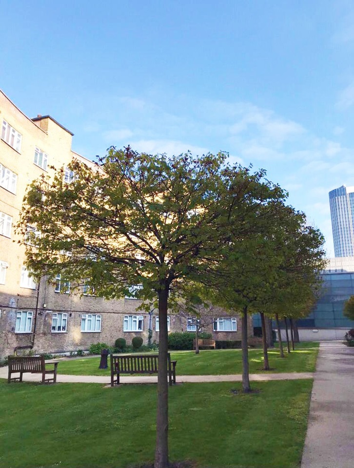 Studio Flat, Hatfields, SE1, N1 7GU