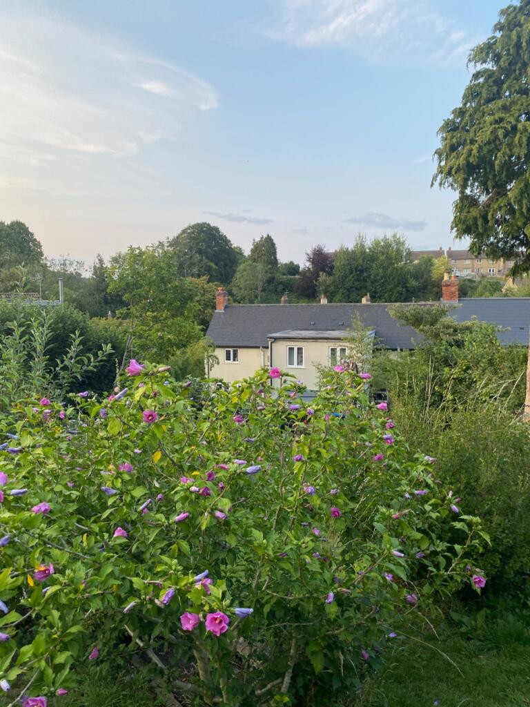 Additional image 29 of Lusty Gardens, Bruton