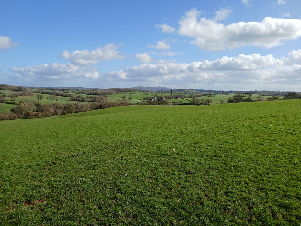 Land for sale26 Acres Pt Ashminton Farm, Nr Bromyard WR6