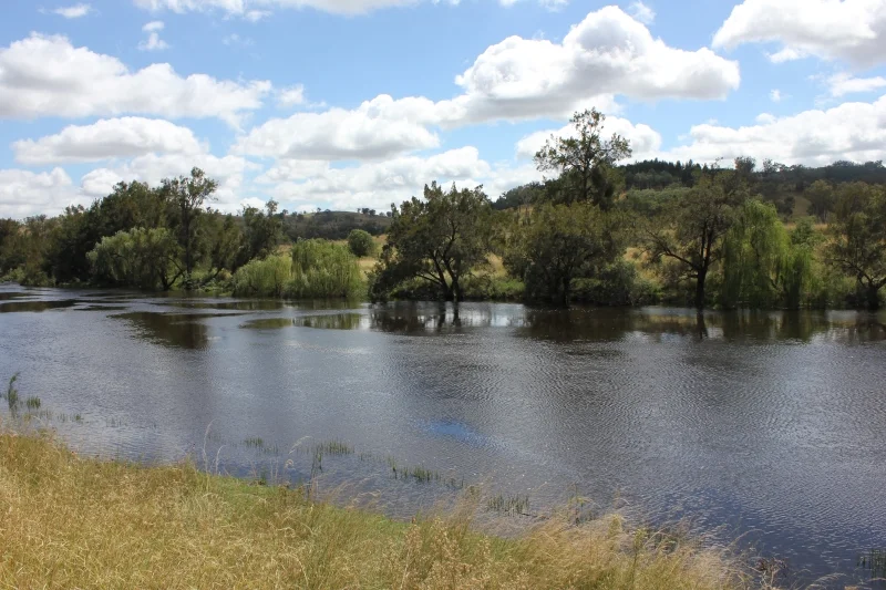 'Fernlee' 557 Pindari Dam Rd, Ashford NSW 2361