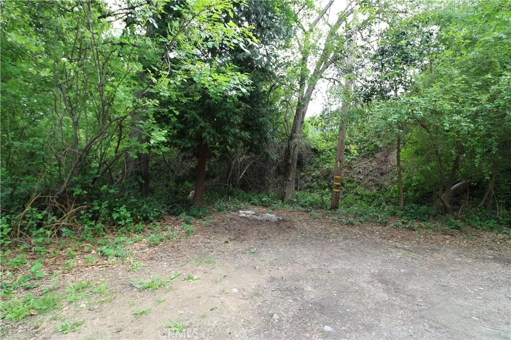 Additional image 19 of 13992 Irving Lane, Lytle Creek, CA 92358