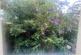 Additional image 14 of Edleston Road, Crewe