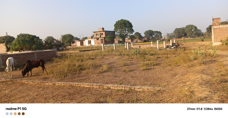 Additional image 2 of Bah, Agra