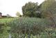 Wildmoor Lane, Hook RG27 photo 5